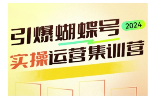 引爆蝴蝶号实操运营，助力你深度掌握蝴蝶号运营，实现高效实操，开启流量变现之路-新时光资源网
