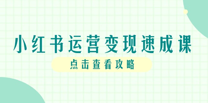 小红书运营变现速成课，账号搭建到暴力起号，个人IP全流程指南-新时光资源网
