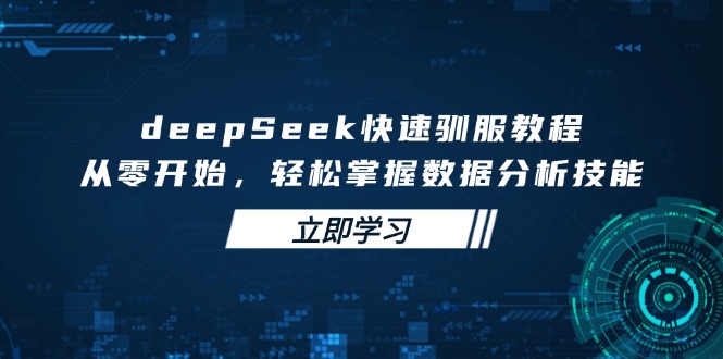 deepSeek快速驯服教程，从零开始，轻松掌握数据分析技能-新时光资源网