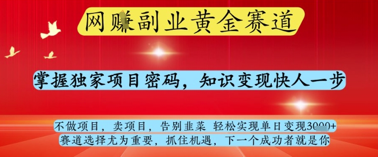 网创副业黄全赛道，掌握独家项目密码，知识变现快人一步，告别韭菜轻松实现单日变现1k+【揭秘】-新时光资源网