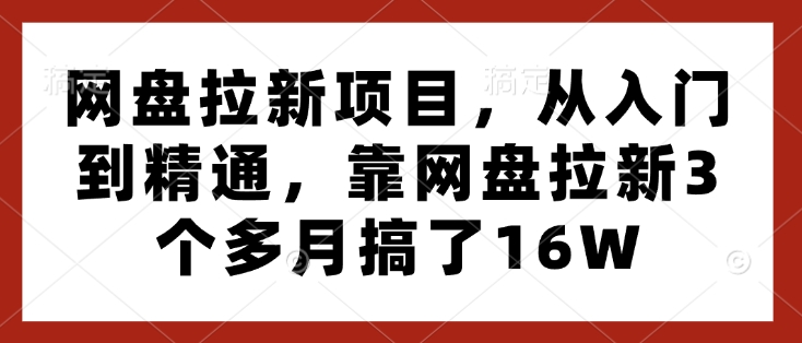 网盘拉新项目，从入门到精通，靠网盘拉新3个多月搞了16W-新时光资源网