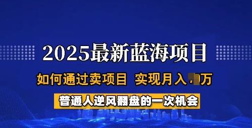 2025蓝海项目，普通人如何通过卖项目，实现月入过W，全过程【揭秘】-新时光资源网