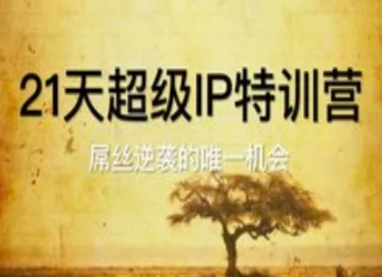 21天超级IP特训营，屌丝逆袭的唯一机会-新时光资源网