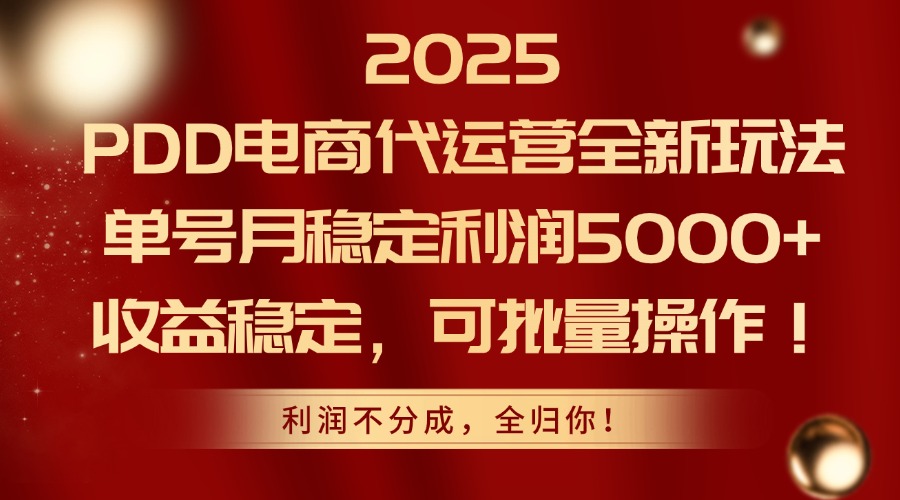 2025PDD电商代运营全新玩法，单号月稳定利润5000+，收益稳定，可批量操作-新时光资源网