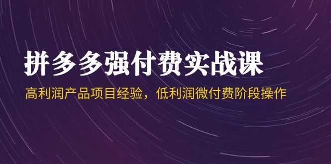 拼多多强付费实战课-44期，高利润产品项目经验，低利润微付费阶段操作-新时光资源网
