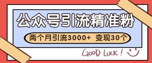 公众号精准粉引流玩法，2个月3000+精准粉，变现30个W【揭秘】-新时光资源网