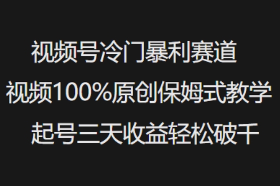 视频号冷门暴利赛道视频100%原创保姆式教学起号三天收益轻松破千-新时光资源网