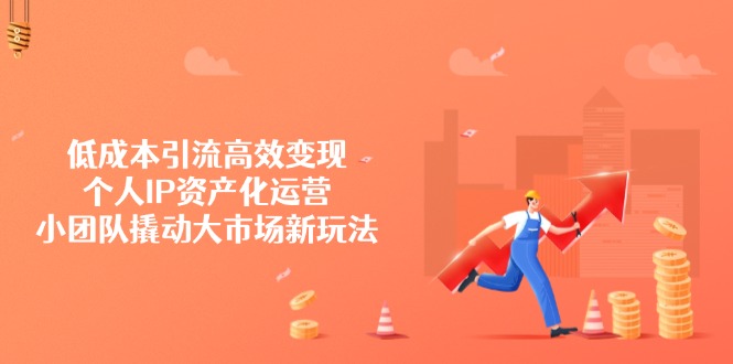 低成本引流高效变现，个人IP资产化运营，小团队撬动大市场新玩法-新时光资源网
