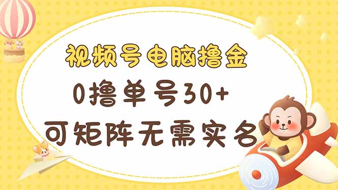 视频号电脑撸金 0撸单号30+ 可矩阵 无需实名多号多得-新时光资源网