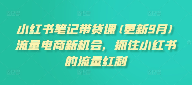 小红书笔记带货课(更新25年1月)流量电商新机会，抓住小红书的流量红利-新时光资源网
