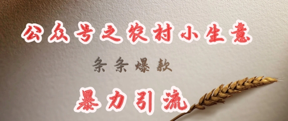 deepseek写农村小项目，条条爆款，暴力引流-新时光资源网