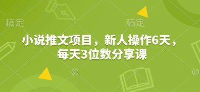 小说推文项目，新人操作6天，每天3位数分享课-新时光资源网