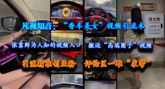 凡视知音：“香车美女”视频引流术，依靠鲜为人知的视频入口，搬运“高端圈子”视频，引流精准创业粉，评论区一堆“求带”-新时光资源网