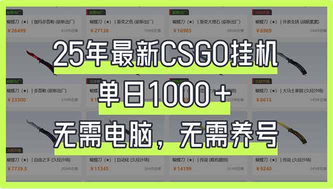 25年最新CSGO挂机系统，单日1000+，无需电脑，无需养号，0基础可上手-新时光资源网