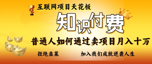 互联网项目天花板，知付付费项目，普通人如何通过卖项目月入十个，拒绝韭菜【揭秘】-新时光资源网