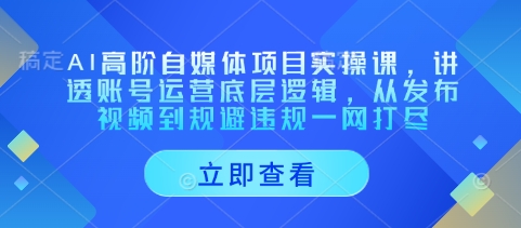 AI高阶自媒体项目实操课，讲透账号运营底层逻辑，从发布视频到规避违规一网打尽-新时光资源网