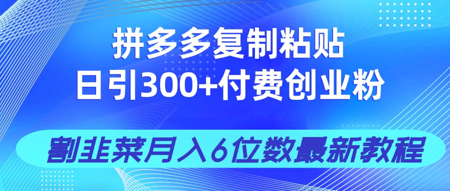 拼多多复制粘贴日引300+付费创业粉，割韭菜月入6位数最新教程！-新时光资源网