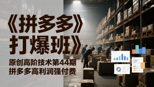 《拼多多打爆班》原创高阶技术第44期，拼多多高利润强付费-新时光资源网