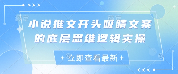 小说推文开头吸睛文案的底层思维逻辑实操-新时光资源网