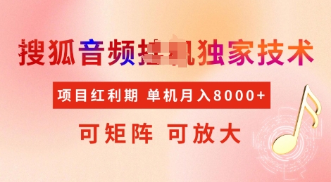 全网首发搜狐音频挂JI独家技术，项目红利期，可矩阵可放大，稳定月入8k【揭秘】-新时光资源网