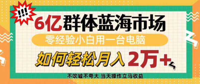 6亿群体蓝海市场，零经验小白用一台电脑，如何轻松月入过w【揭秘】-新时光资源网