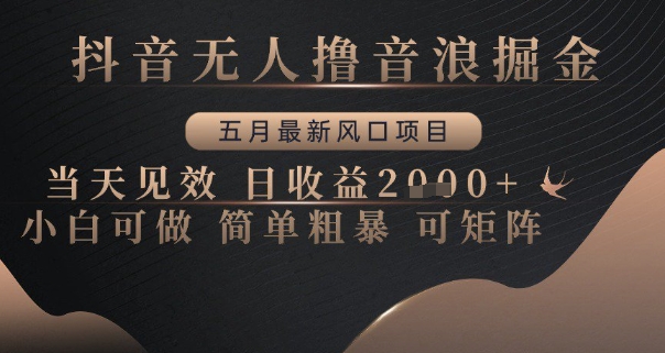 抖音无人撸音浪掘金，五月最新风口项目，当天见效，日收益多张，小白可做简单粗暴可矩阵【揭秘】-新时光资源网
