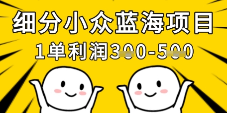 细分小众蓝海项目，一单利润3张，每月收入稳定过1w+-新时光资源网