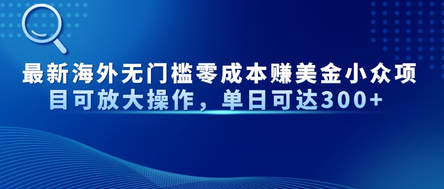最新海外无门槛零成本赚美金小众项目可放大操作，单日可达300+-新时光资源网