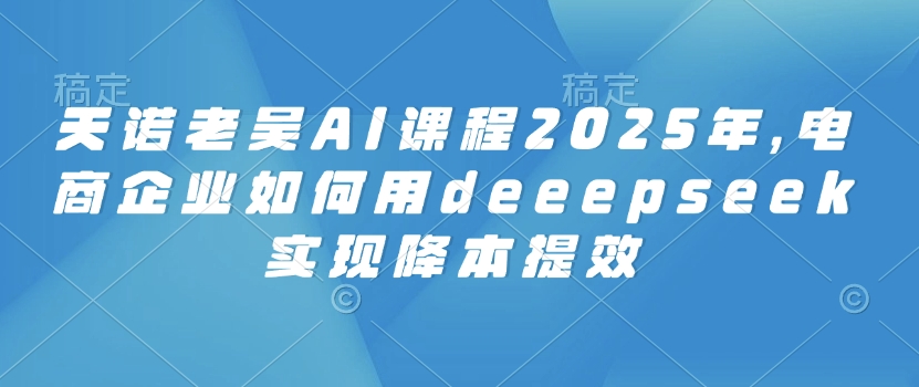 天诺老吴AI课程2025年，电商企业如何用deeepseek实现降本提效-新时光资源网