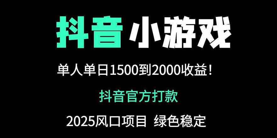 抖音官方小游戏2025全网最新玩法，暴利赚钱项目，单机日入2000+-新时光资源网
