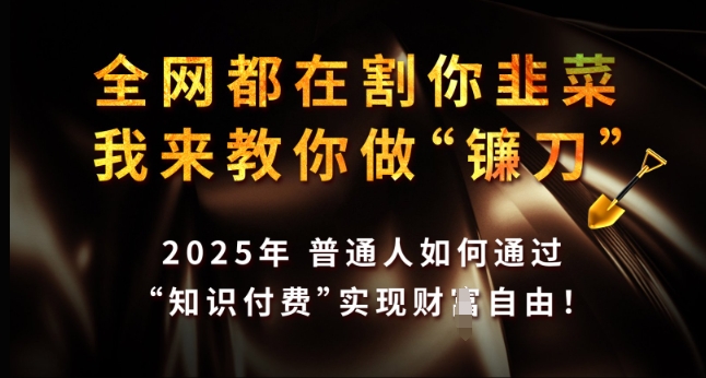 全网都在割你韭菜，我来教你做镰刀，2025年普通人如何通过 知识付费 实现财F自由【揭秘】-新时光资源网