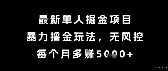 最新单人掘金项目，暴力撸金玩法，无风控，每个月多挣5k+【揭秘】-新时光资源网
