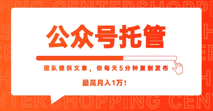 【公众号托管 】我提供文章，你每天５分钟复制发布，最高月入1W-新时光资源网
