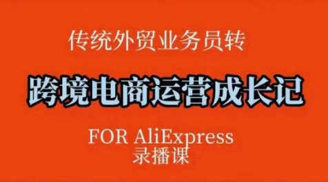 跨境电商速卖通运营课，​运营方法论+后台实操，逻辑清晰-新时光资源网