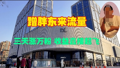 蹭胖东来流量，三天涨万粉，收益直接起飞-新时光资源网