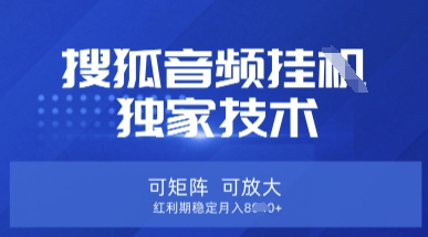 【搜狐音频挂G】独家技术，可矩阵可放大，红利期稳定月入8k【揭秘】-新时光资源网