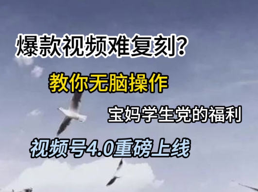 视频号4.0重磅上线，爆款视频难复刻？教你无脑操作宝妈学生党的福利【揭秘】-新时光资源网