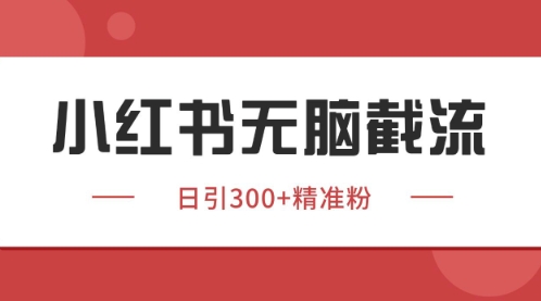 小红书只要你有同行就能获客，独家野路子获客玩法，暴力截流【揭秘】-新时光资源网