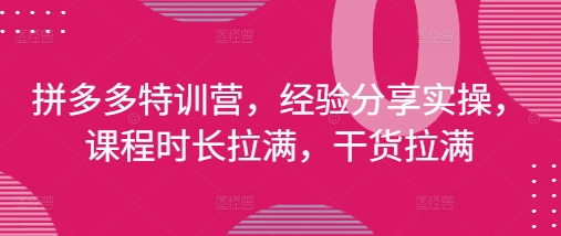 拼多多特训营，经验分享实操，课程时长拉满，干货拉满(更新25年4月)-新时光资源网