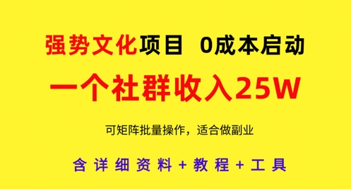 强势文化项目，一个社群收入25个W，0成本启动，可矩阵批量操作，原创详细实操教程-新时光资源网
