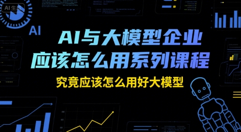 AI与大模型企业应该怎么用系列课程，究竟应该怎么用好大模型-新时光资源网