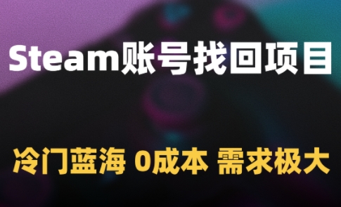 Steam账号找回项目，冷门蓝海，0成本，需求极大-新时光资源网