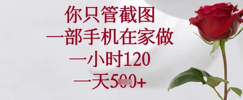 你只管截图，一部手机在家可以做，一小时120.一天5张+【揭秘】-新时光资源网