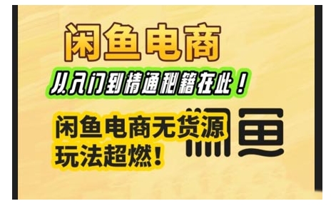 闲鱼电商实战课，从入门到精通秘籍在此，闲鱼电商无货源玩法超燃!-新时光资源网