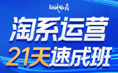 白凤电商·淘系运营21天速成班(更新6月)-新时光资源网