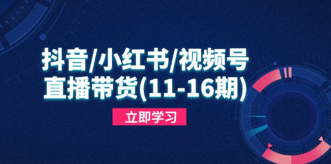 抖音/小红书/视频号/直播带货(11-16期-新时光资源网