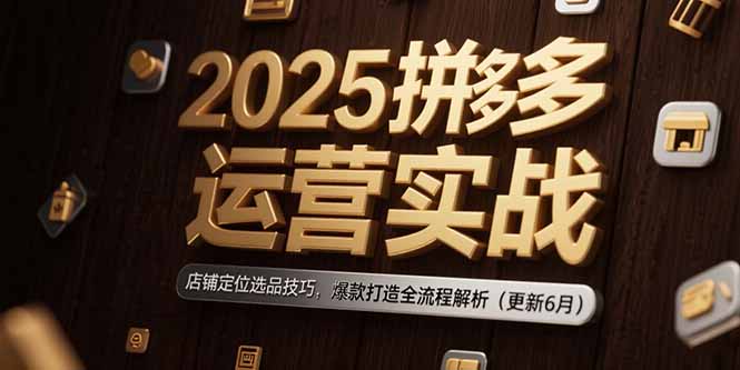2025拼多多运营实战：店铺定位选品技巧，爆款打造全流程解析(更新6月-新时光资源网