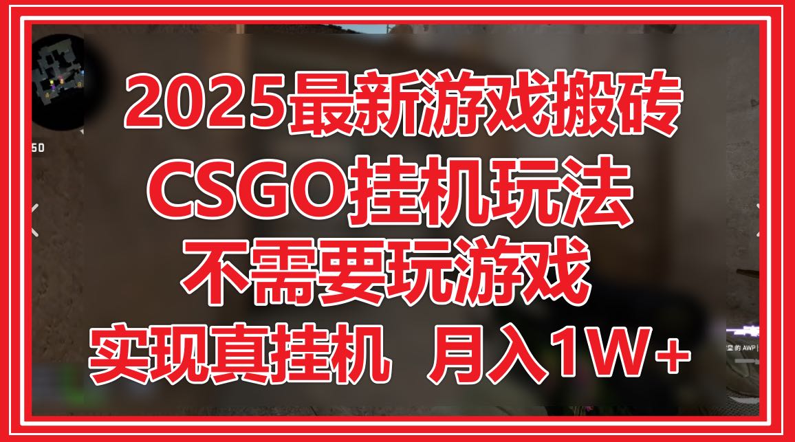2025最新游戏搬砖，CSGO挂机，不需要玩游戏，实现真挂机，月入1W+-新时光资源网