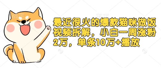 最近很火的爆款猫咪做饭视频拆解，小白一周涨粉2万，单条10万+播放(附保姆级教程)-新时光资源网