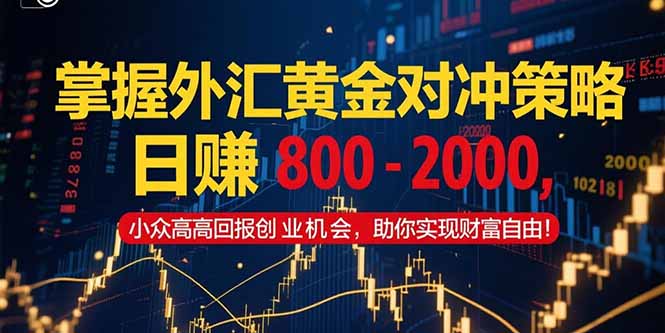 掌握外汇黄金对冲策略，日赚 800 – 2000，小众高回报创业机会，助你实…-新时光资源网